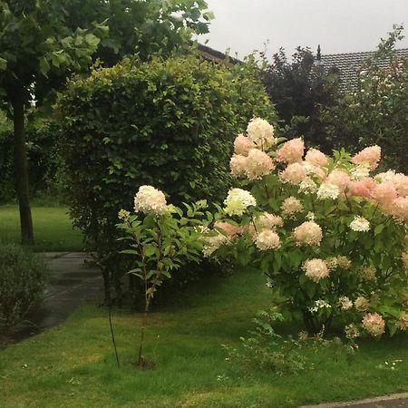 Bergen Holiday Home 斯霍尔 外观 照片