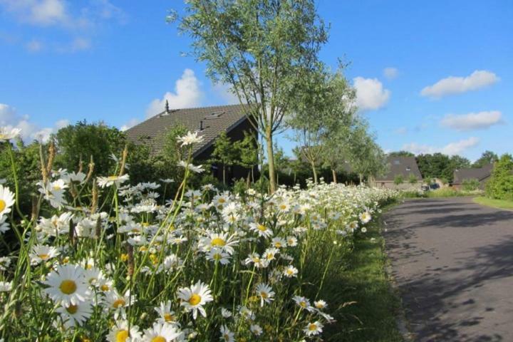 Bergen Holiday Home 斯霍尔 外观 照片